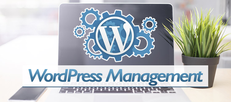 Wordpress management