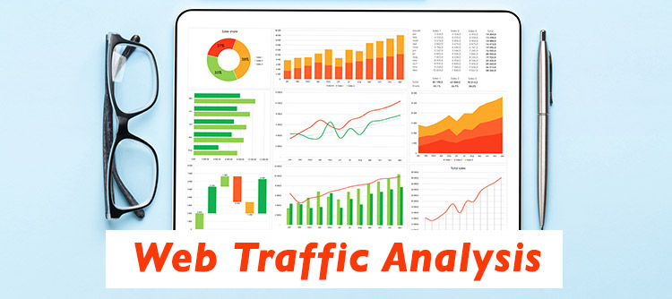 web traffic analysis and reports